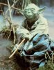 yoda_in_swamp.jpg