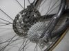 Single Speed 09.jpg