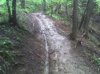 19-04-09_1101.jpg