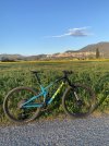 Trek top fuel 9.7 taglia M/L