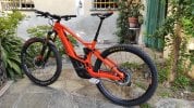 Orbea Wild FS