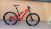 Specialized Stumpjumper 29