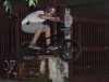 salto bmx3.jpg