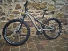 Speciaed Stumpjumper carbon