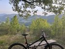 IMG_0201.jpeg