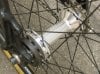 Single Speed 17B.jpg