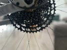 IMG_0464.jpeg IMG_0464.jpeg
