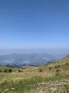 IMG_7697.jpeg