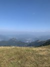 IMG_7704.jpeg