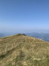 IMG_7705.jpeg
