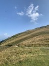 IMG_7708.jpeg