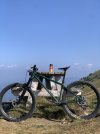IMG_7700.jpeg