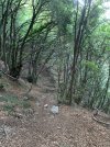 IMG_7710.jpeg