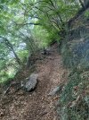 IMG_7711.jpeg