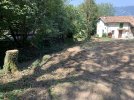 IMG_7818.jpeg