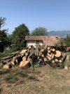 IMG_7820.jpeg