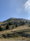 IMG_7934.jpeg