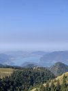IMG_7936.jpeg