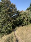 IMG_7946.jpeg