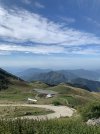 IMG_8272.jpeg