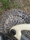 IMG_2877.jpeg