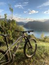 IMG_8317.jpeg