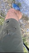 IMG_0499.jpeg