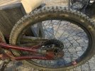 IMG_5943.jpeg