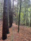IMG_0725.jpeg