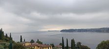 IMG_20261010_095037.jpg