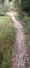 IMG_20261010_105332.jpg