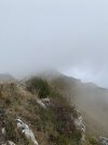 IMG_8624.jpeg
