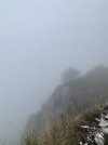 IMG_8625.jpeg
