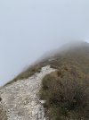 IMG_8626.jpeg