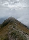 IMG_8629.jpeg