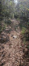 IMG_20261011_142516.jpg