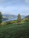 IMG_8632.jpeg