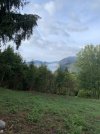 IMG_8633.jpeg