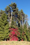 100_3916.JPG