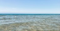 IMG_20260920_130419558_HDR.jpeg