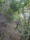 IMG_8699.jpeg IMG_8699.jpeg