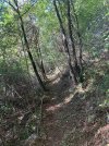 IMG_8701.jpeg IMG_8701.jpeg