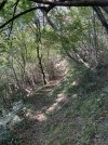 IMG_8702.jpeg IMG_8702.jpeg