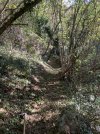 IMG_8703.jpeg IMG_8703.jpeg