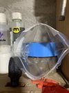 IMG_8710.jpeg