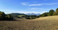 IMG_20261018_095656304_HDR.jpeg