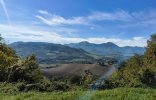 IMG_20261018_115459544_HDR.jpeg