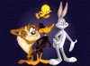 Bugs Bunny, Daffy, Tweety & Taz 1024 x 768.jpg