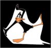 daffy_duck.jpg