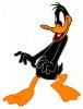 daffy01.jpg